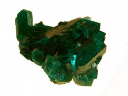 TOP! DIOPTASE - Mindouli, RD Congo