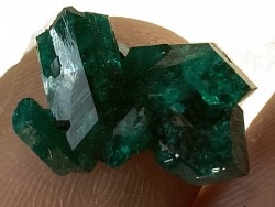 TOP! DIOPTASE - Mindouli, RD Congo