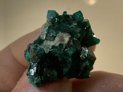 TOP! CALCITE sur DIOPTASE - Mindouli, RD Congo