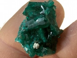 TOP! DIOPTASE - Mindouli, RD Congo