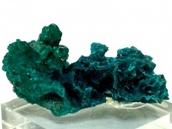 TOP! DIOPTASE - Mindouli, RD Congo