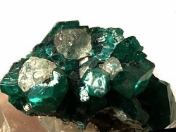 TOP! CALCITE on DIOPTASE  - Mindouli, RD Congo