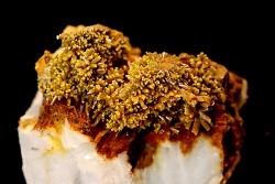 Pyromorphite - Les Farges, FRANCE