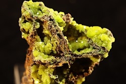 Pyromorphite - région de Moulay Bouazza - Khenifra - Meknes - Maroc