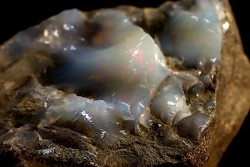 OPALE red and green - Australia