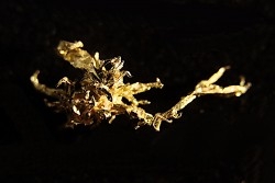 native gold  Olinghouse Mine, Washoe County, Nevada, USA