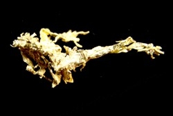 native gold  Olinghouse Mine, Washoe County, Nevada, USA