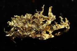 native gold  Olinghouse Mine, Washoe County, Nevada, USA