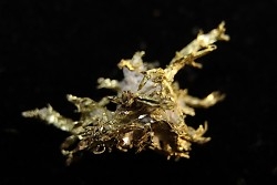 native gold  Olinghouse Mine, Washoe County, Nevada, USA