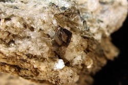 macle de titanite - col  de l'albrun, Binn, Valais, Suisse