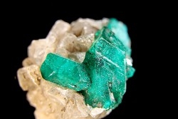 Dioptase - Altyn, tyube area, Bukhar, Karaganda region - KAZAKHSTAN