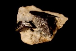 Baddeleyite - Mine Wetloo - BIRMANIE