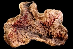 cobaltiferous calcite geode with roselite - Bou Azzer - Morocco