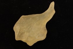 TECTITE: Libyan glass - ARTIFACT