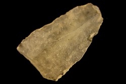 TECTITE: Libyan glass - ARTIFACT