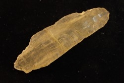 TECTITE: Libyan glass - ARTIFACT