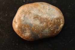 Gastrolith of  Dinosaur - Lower Cretaceous - Cloverly formation - Montana -USA