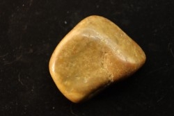 Gastrolith of  Dinosaur - Lower Cretaceous - Cloverly formation - Montana -USA
