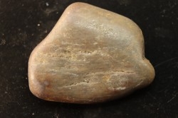 Gastrolithe de dinosaure - Crétacé inférieur - Cloverly formation - Montana - USA