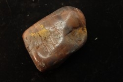 Gastrolith of  Dinosaur - Lower Cretaceous - Cloverly formation - Montana -USA