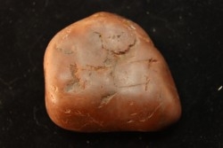 Gastrolith of  Dinosaur - Lower Cretaceous - Cloverly formation - Montana -USA