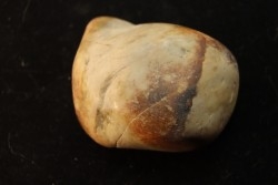 Gastrolith of  Dinosaur - Lower Cretaceous - Cloverly formation - Montana -USA