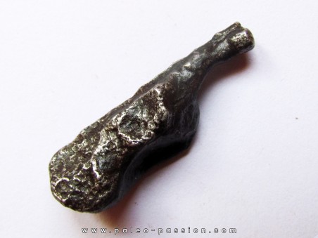 METEORITE SIDERITE SIKHOTE ALIN (4)