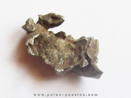 METEORITE pallasite IMALAC (2)