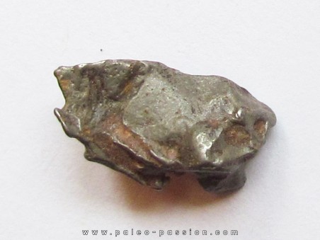 METEORITE pallasite IMALAC (3)