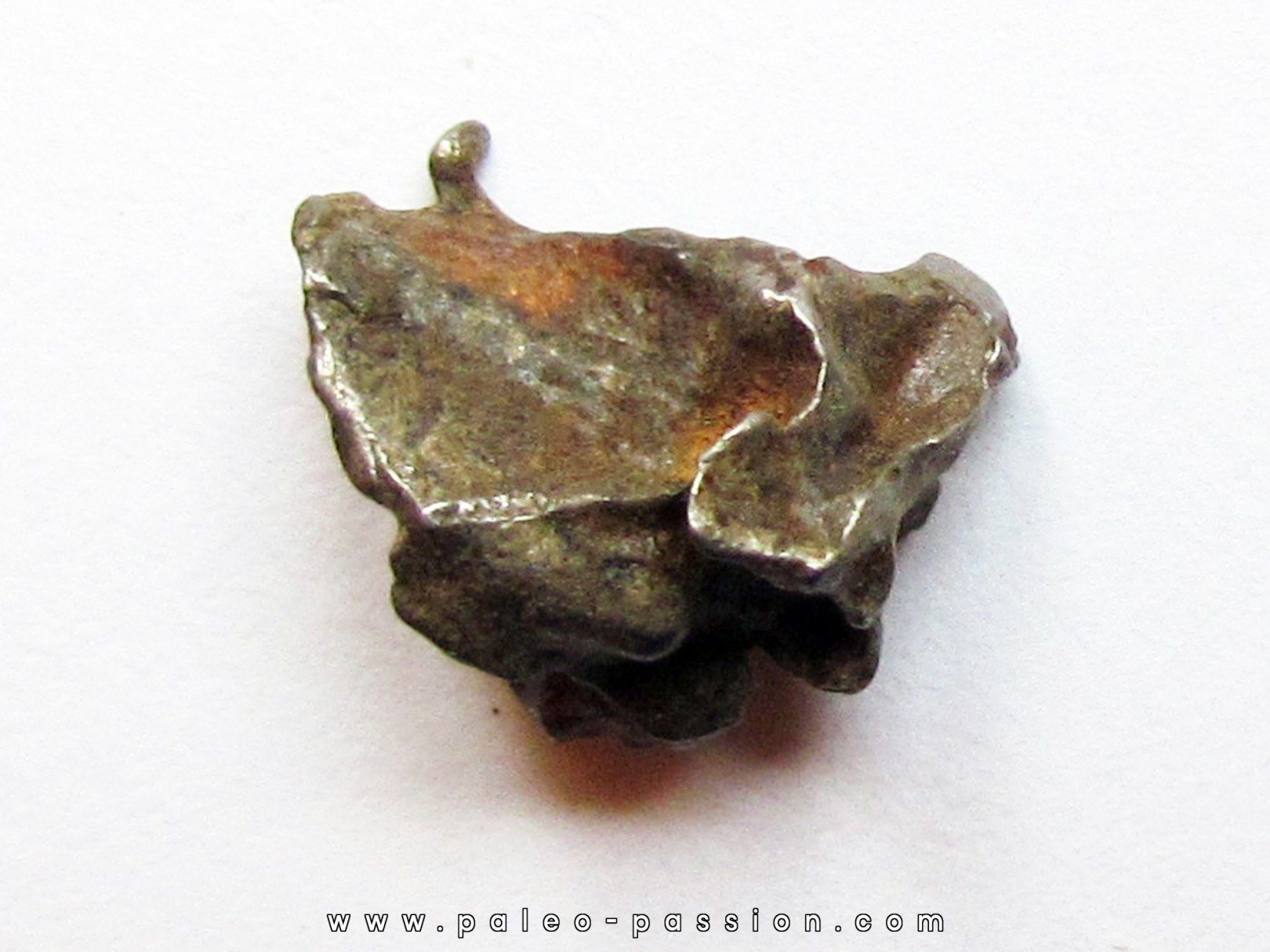METEORITE pallasite IMALAC (4) METEORITE pallasite IMALAC (4)