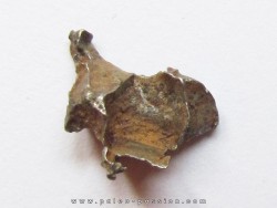 METEORITE pallasite IMALAC (6)