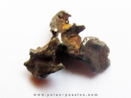 METEORITE pallasite IMALAC (7)