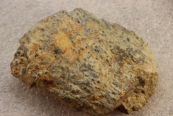 accumulation of  trilobit's COPROLITHES : TOMACULUM PROBLEMATICUM - Ordovician - Maine et Loire, FRANCE