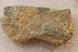 accumulation of  trilobit's COPROLITHES : TOMACULUM PROBLEMATICUM - Ordovician - Maine et Loire, FRANCE