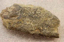accumulation of  trilobit's COPROLITHES : TOMACULUM PROBLEMATICUM - Ordovician - Maine et Loire, FRANCE