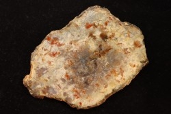 coprolithe de dinosaure - jurassique - Morrison Formation