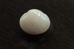 bivalve en opale:  Cyrenopsis australiensis - Aptien - Coober Pedy - Australie