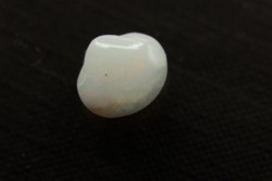 bivalve en opale:  Cyrenopsis australiensis - Aptien - Coober Pedy - Australie