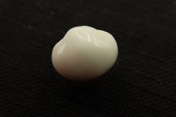 bivalve en opale:  Cyrenopsis australiensis - Aptien - Coober Pedy - Australie