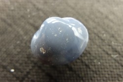 opalized bivalve:  Cyrenopsis australiensis - Aptian - Coober Pedy - Australia