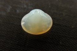 bivalve en opale:  Cyrenopsis australiensis - Aptien - Coober Pedy - Australie