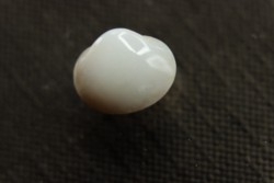 bivalve en opale:  Cyrenopsis australiensis - Aptien - Coober Pedy - Australie