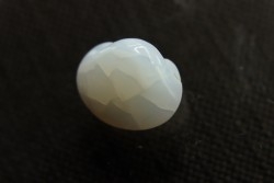 bivalve en opale:  Cyrenopsis australiensis - Aptien - Coober Pedy - Australie