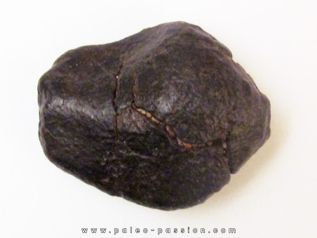 METEORITE CHONDRITE ORDINAIRE NWA (2)