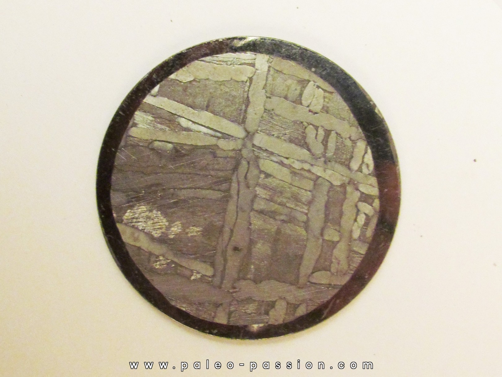 METEORITE pallasite seymcham (3)