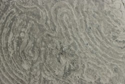 Helminthoides labyrinthica - cretaceous - Embrun area, France