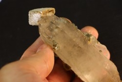 apatite sur quartz  Panasqueira, Portugal