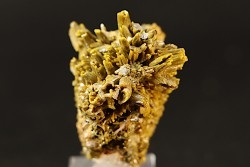 Pyromorphite "mustard touch"  Les Farges, FRANCE