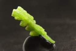 Pyromorphite  - mine Daoping, guangxi province, CHINE