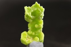Pyromorphite  - mine Daoping, guangxi province, CHINE